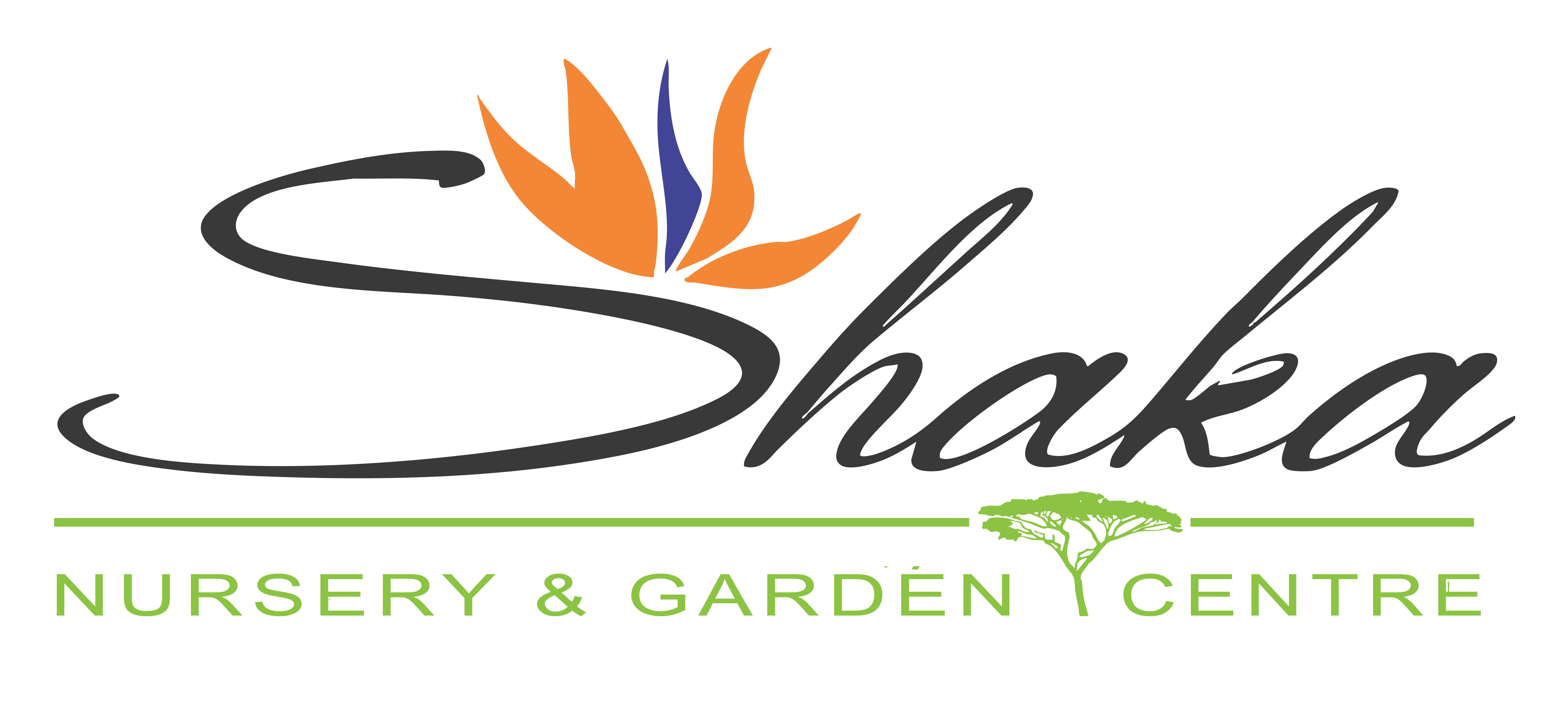 Shaka Nursery Shaka Nursery